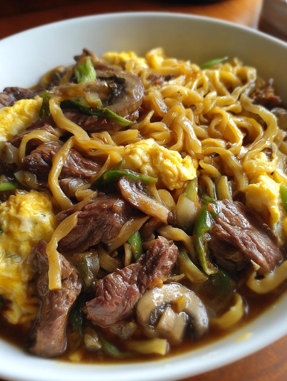 beef and noodles - detail 1