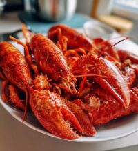 lobster images
