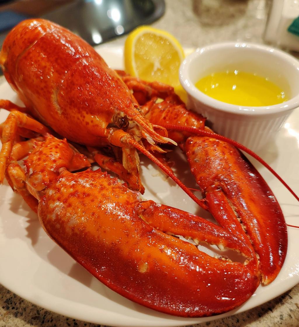 lobster in the sea