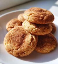 protein snickerdoodle cookies