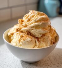 snickerdoodle ninja creami
